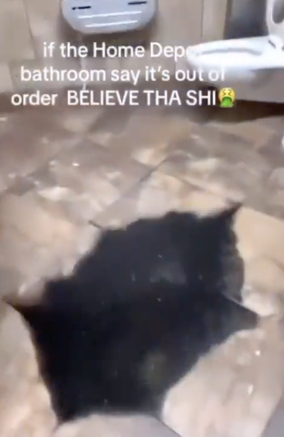 black cat - if the Home Dep bathroom say it's out of order Believe Tha Shi